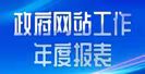 政府網站工作年度報表